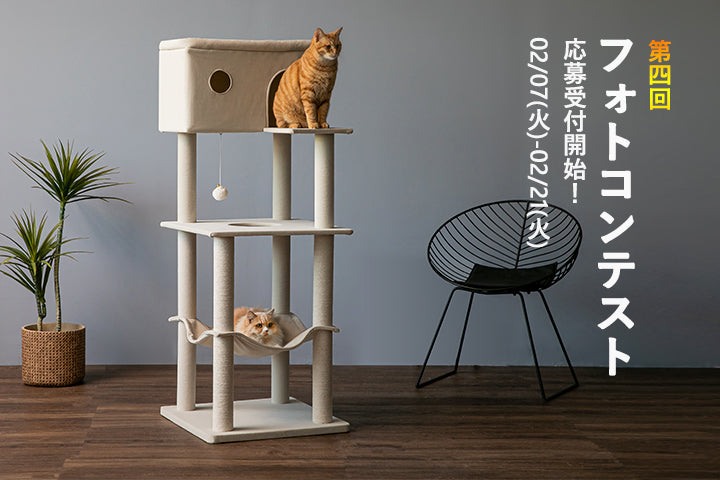 第4回 MWPO フォトコンテスト応募受付開始！