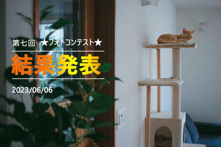第7回フォトコンテスト結果発表
