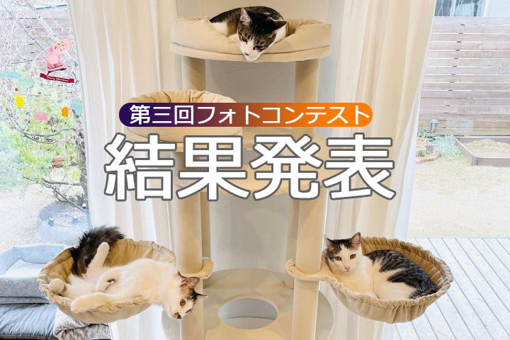 第3回MWPOフォトコンテスト 結果発表！