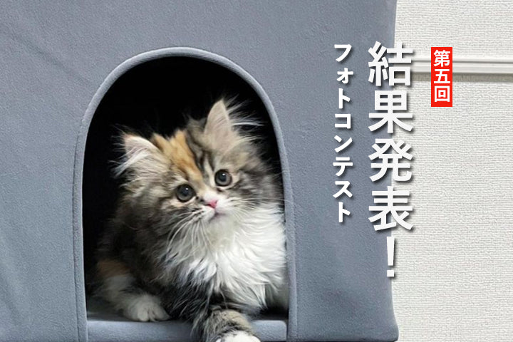 第5回フォトコンテスト結果発表