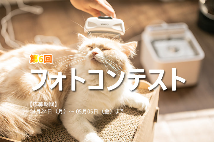 第6回 MWPO フォトコンテスト応募受付開始！