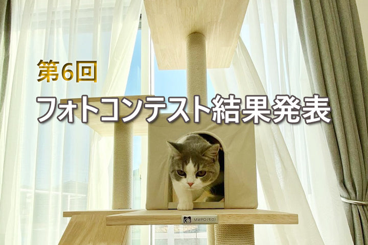 第6回フォトコンテスト結果発表