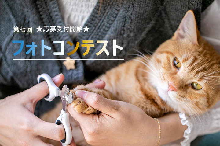 第7回 MWPO フォトコンテスト応募受付開始！