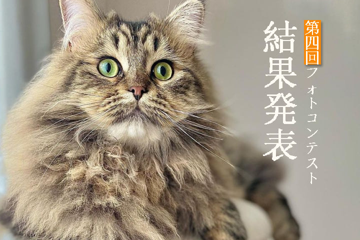 第四回フォトコンテスト結果発表