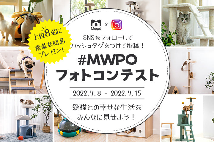 第1回 MWPO フォトコンテスト開催中！