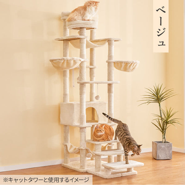 MWPO ローステップ 高さ37cm 884