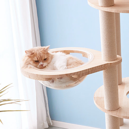 MWPO 部品一覧 透明宇宙船 直径30CM PJ0639